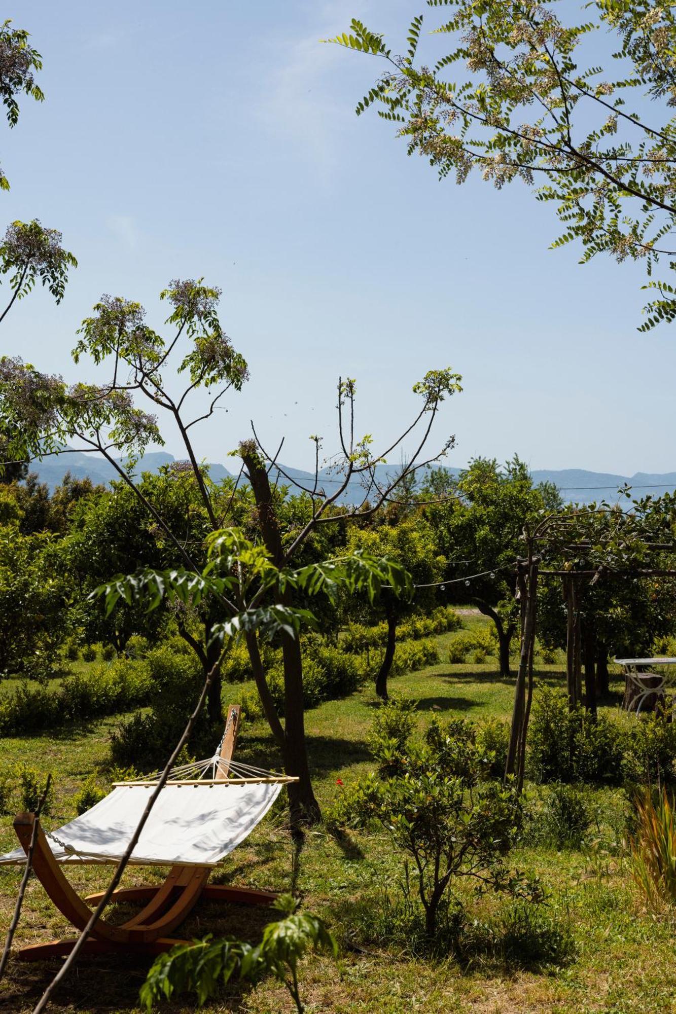Villa De Cillis Carafa Torre del Greco Ngoại thất bức ảnh